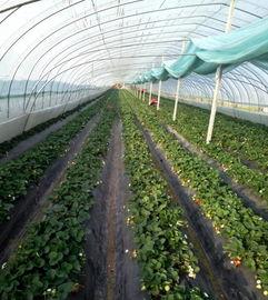 吃瓜群爆料大棚视频大全