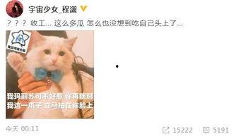 吃瓜鹅每日爆料杜江,吃瓜鹅每日爆料，揭秘明星背后的故事