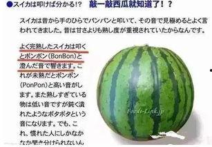 海外吃瓜爆料是真的吗,真相还是谣言？