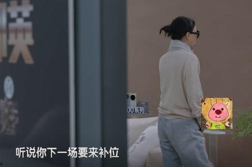 明星网红摇,流量背后的影响力解析