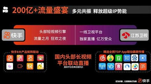 明星网红招商,共赴商业新风口