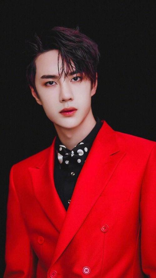 ykyb明星网红,闪耀娱乐圈的璀璨星辰