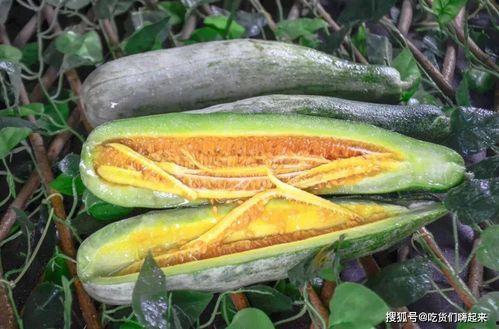 网红吃瓜爆料情报处,揭秘娱乐圈幕后真相，吃瓜群众齐围观