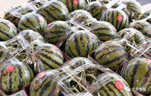 网红吃瓜爆料情报处,揭秘娱乐圈幕后真相，吃瓜群众齐围观