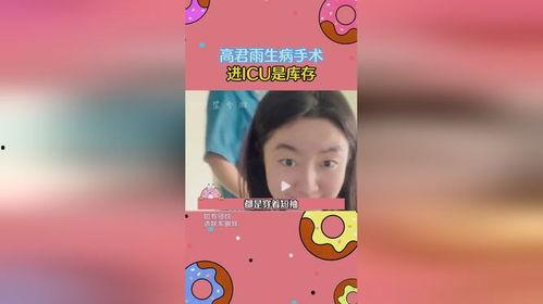 吃瓜爆料在线看小说,在线小说世界的秘密花园