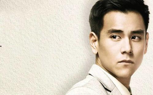 明星网红问答,幕后故事与真实心声