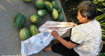 伊犁吃瓜最新事件爆料