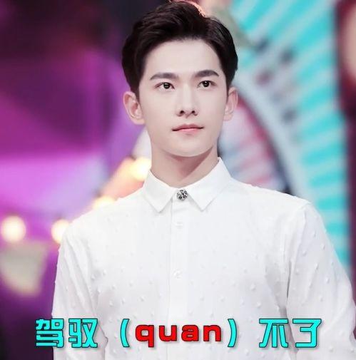 明星网红文化,流量时代下的影响力解析