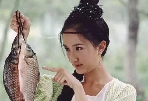 明星网红当官,当红炸子鸡变身政务新势力