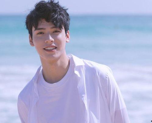 明星网红少年,闪耀青春，引领潮流